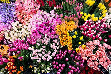 《赵云传重制版》确定正式名称：《赵云传：云汉腾龙》